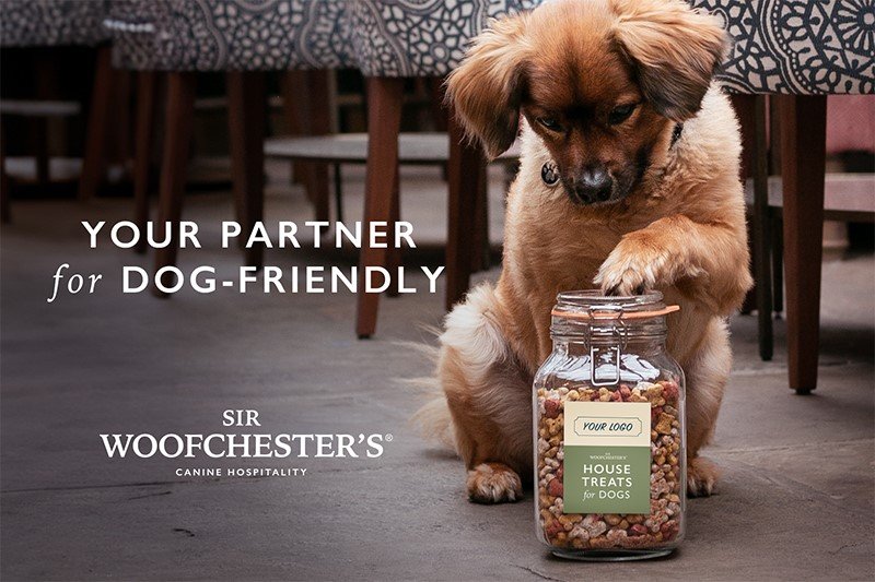 Dog Welcome Packs